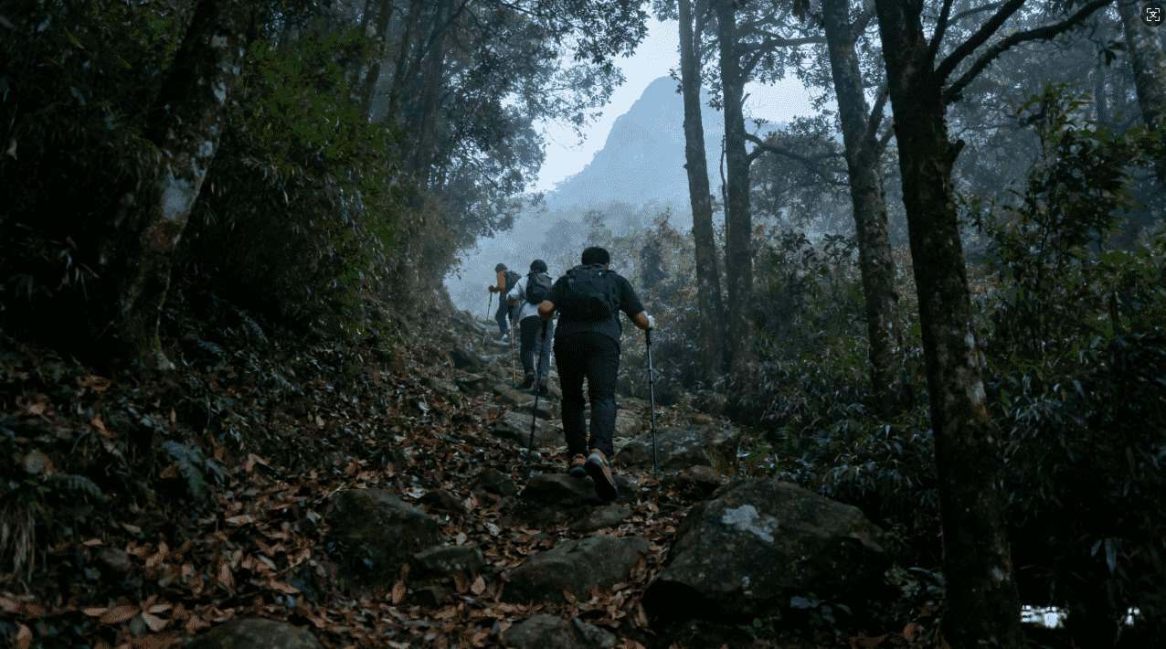 选择海鸥加速器，让您的游戏体验轻松飞扬无压力